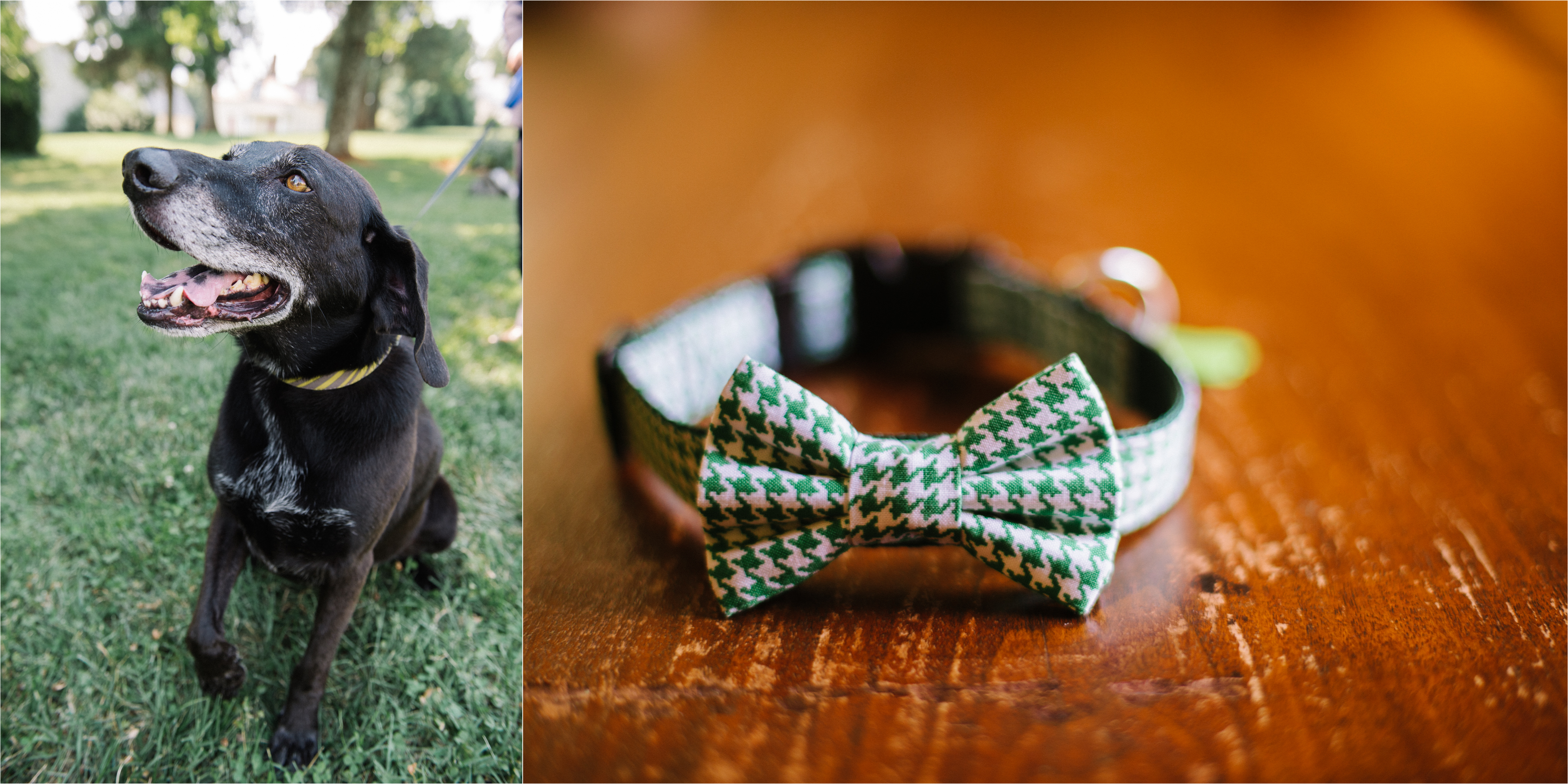 Robert Radifera Photography